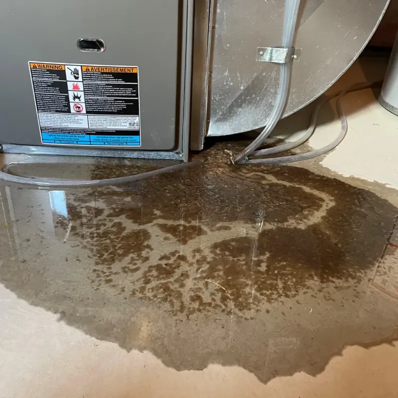 Appliance Leak Cleanup in Jackson County, AL